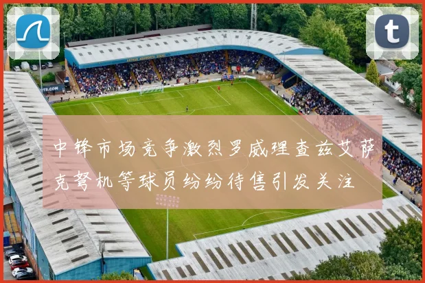 中锋市场竞争激烈罗威理查兹艾萨克弩机等球员纷纷待售引发关注
